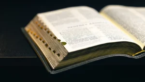 Halad&oacute; Bibliaiskola k&eacute;pz&eacute;s &ndash; Online